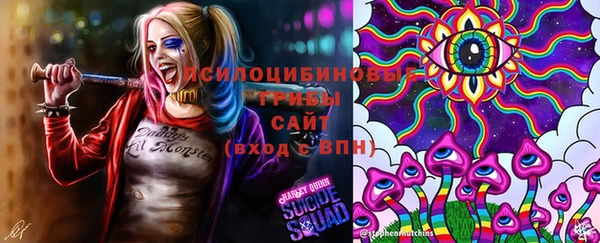 мефедрон мука Алексеевка