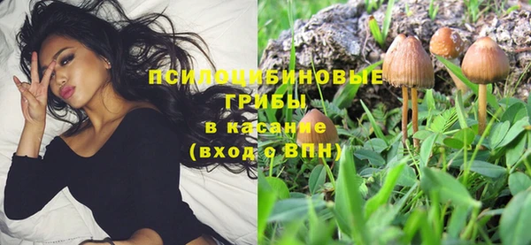 СК Алексин