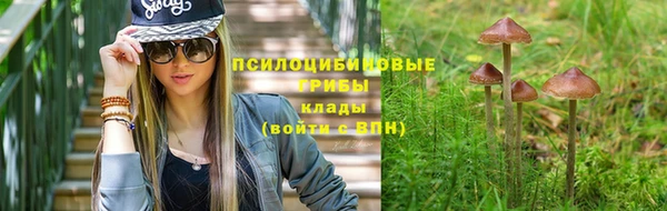 СК Алексин