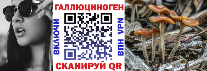 Галлюциногенные грибы Cubensis  OMG вход  Карпинск 